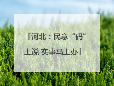 河北：民意“码”上说 实事马上办