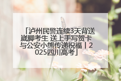 泸州民警连续3天背送崴脚考生 送上手写贺卡与公安小熊传递祝福丨2025四川高考
