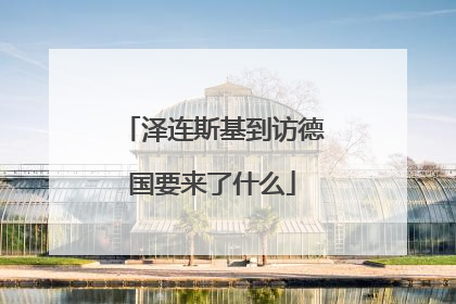 泽连斯基到访德国要来了什么