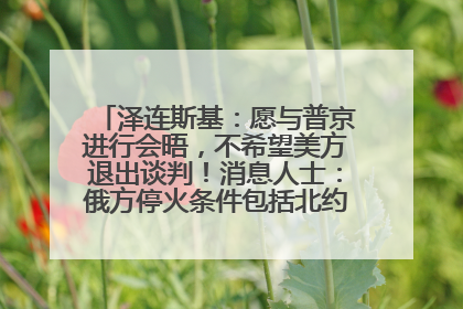 泽连斯基：愿与普京进行会晤，不希望美方退出谈判！消息人士：俄方停火条件包括北约“书面”保证不东扩