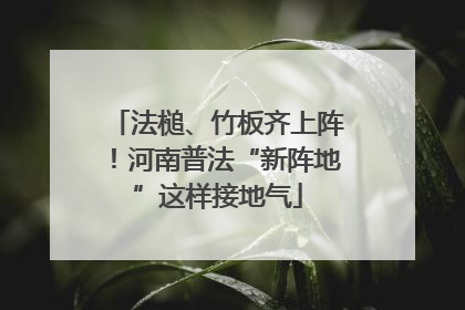 法槌、竹板齐上阵！河南普法“新阵地”这样接地气