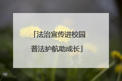 法治宣传进校园 普法护航助成长