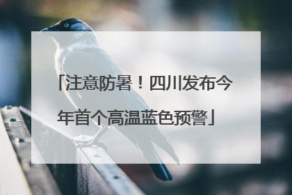 注意防暑！四川发布今年首个高温蓝色预警
