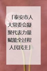 泰安市人大常委会凝聚代表力量赋能全过程人民民主