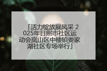 活力绽放展风采 2025年日照市社区运动会岚山区中楼镇娄家湖社区专场举行