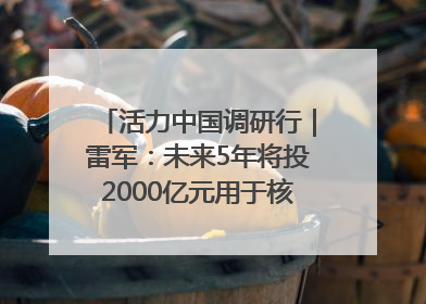活力中国调研行｜雷军：未来5年将投2000亿元用于核心技术研发