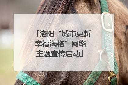 洛阳“城市更新 幸福满格”网络主题宣传启动