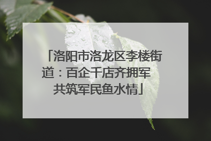 洛阳市洛龙区李楼街道：百企千店齐拥军 共筑军民鱼水情