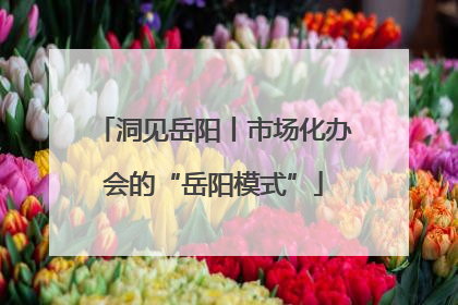 洞见岳阳丨市场化办会的“岳阳模式”