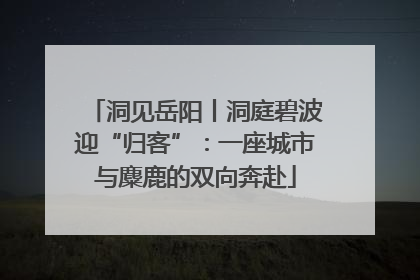 洞见岳阳丨洞庭碧波迎“归客”：一座城市与麋鹿的双向奔赴