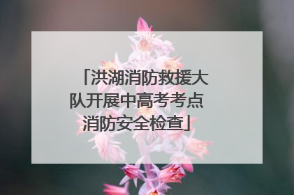 洪湖消防救援大队开展中高考考点消防安全检查