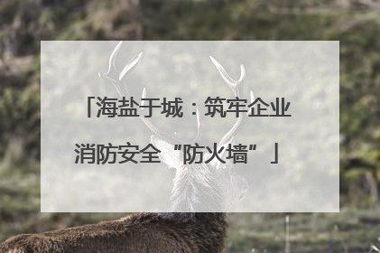 海盐于城：筑牢企业消防安全“防火墙”