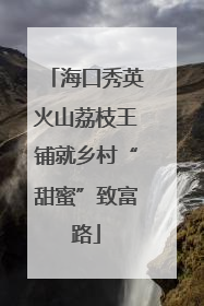 海口秀英火山荔枝王铺就乡村“甜蜜”致富路