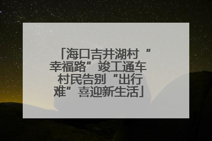 海口吉井湖村“幸福路”竣工通车 村民告别“出行难”喜迎新生活