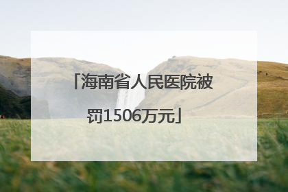 海南省人民医院被罚1506万元