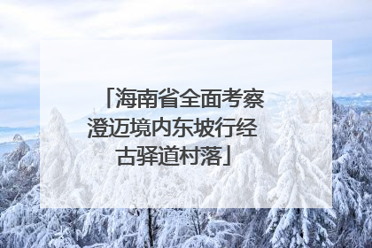 海南省全面考察澄迈境内东坡行经古驿道村落