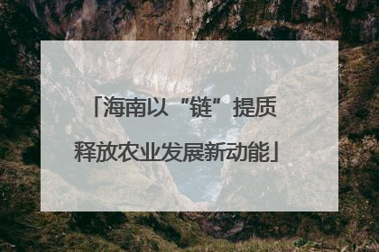 海南以“链”提质 释放农业发展新动能