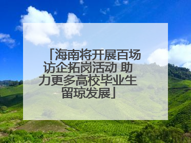海南将开展百场访企拓岗活动 助力更多高校毕业生留琼发展