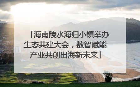 海南陵水海归小镇举办生态共建大会，数智赋能产业共创出海新未来