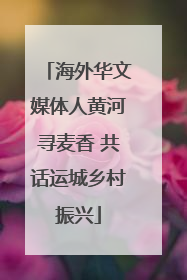 海外华文媒体人黄河寻麦香 共话运城乡村振兴