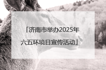 济南市举办2025年六五环境日宣传活动