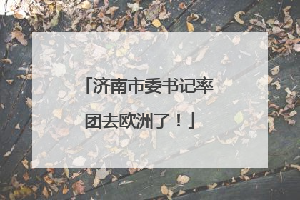济南市委书记率团去欧洲了！
