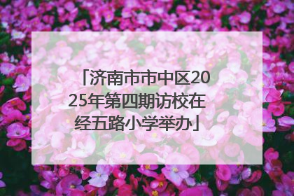 济南市市中区2025年第四期访校在经五路小学举办