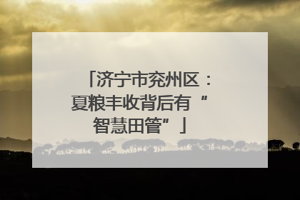 济宁市兖州区：夏粮丰收背后有“智慧田管”