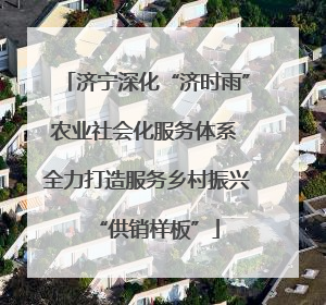 济宁深化“济时雨”农业社会化服务体系 全力打造服务乡村振兴“供销样板”