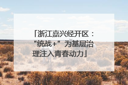 浙江嘉兴经开区：“统战+”为基层治理注入青春动力