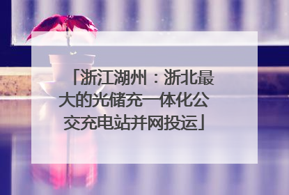 浙江湖州：浙北最大的光储充一体化公交充电站并网投运