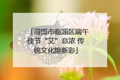 淄博市临淄区端午佳节“艾”意浓 传统文化焕新彩