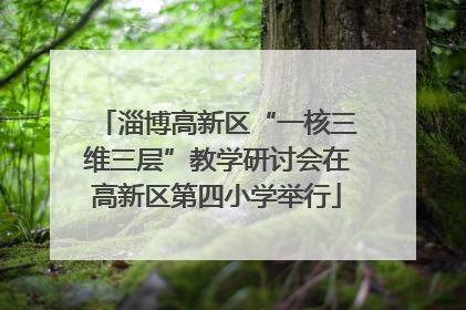 淄博高新区“一核三维三层”教学研讨会在高新区第四小学举行