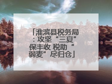 淮滨县税务局：攻坚“三夏”保丰收 税助“弱麦”尽归仓