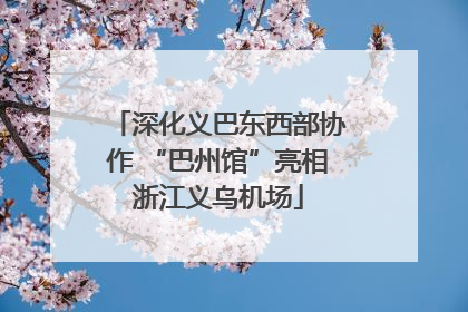深化义巴东西部协作 “巴州馆”亮相浙江义乌机场