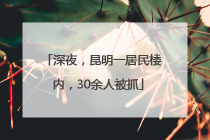 深夜，昆明一居民楼内，30余人被抓
