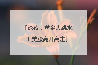 深夜，黄金大跳水！美股高开高走
