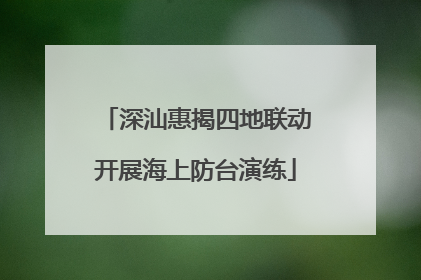 深汕惠揭四地联动开展海上防台演练