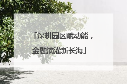 深耕园区赋动能，金融滴灌新长海
