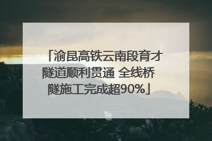 渝昆高铁云南段育才隧道顺利贯通 全线桥隧施工完成超90%