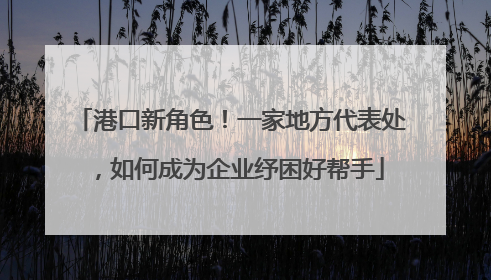 港口新角色！一家地方代表处，如何成为企业纾困好帮手