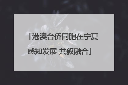 港澳台侨同胞在宁夏感知发展 共叙融合