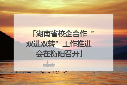 湖南省校企合作“双进双转”工作推进会在衡阳召开