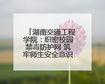 湖南交通工程学院：织密校园禁毒防护网 筑牢师生安全意识根基