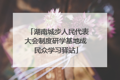 湖南城步人民代表大会制度研学基地成民众学习驿站