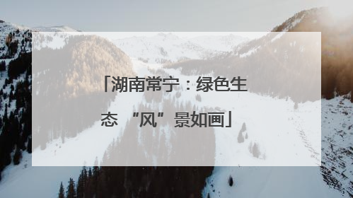 湖南常宁：绿色生态 “风”景如画
