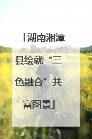 湖南湘潭县绘就“三色融合”共富图景