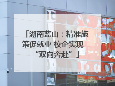 湖南蓝山：精准施策促就业 校企实现“双向奔赴”