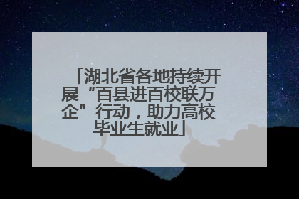 湖北省各地持续开展“百县进百校联万企”行动，助力高校毕业生就业