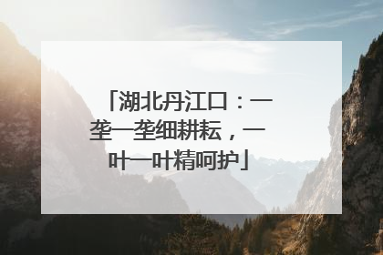 湖北丹江口：一垄一垄细耕耘，一叶一叶精呵护